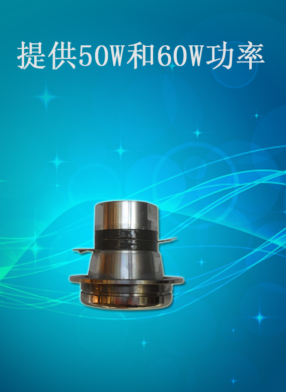 Beauty ultrasonic transducer